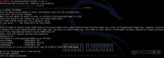 kali linux 中怎么安装docker linux kali安装教程_服务器_30