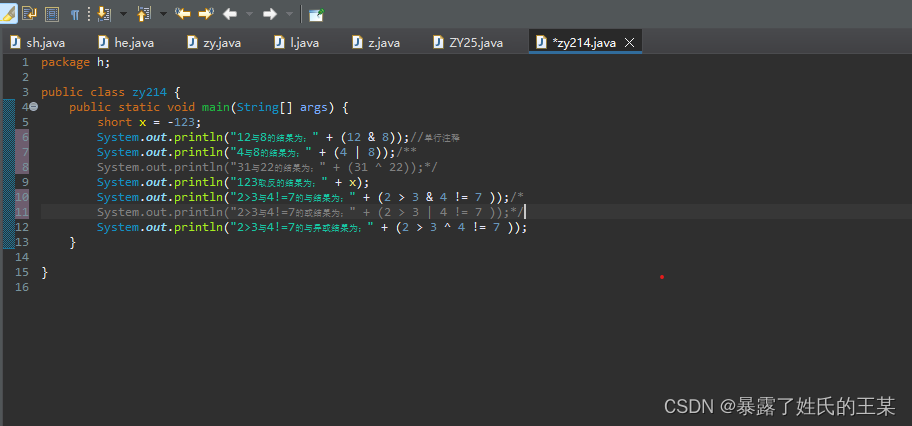 Java int强制转byte java强制转换为double_转义字符