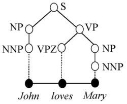 pyhanlp ns nnt的意思 流行语nnp是什么意思_pyhanlp ns nnt的意思