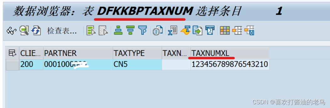 SAP BP的税号(Tax Number)_SAP_02