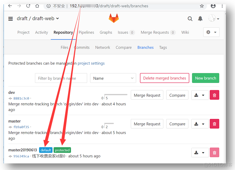 gitlab 限制用户创建分支 gitlab设置项目权限_服务器_02