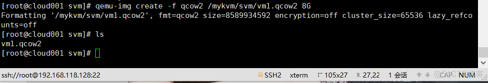 ESXI KVM VM docker对比 esxi和kvm区别_开发工具_31