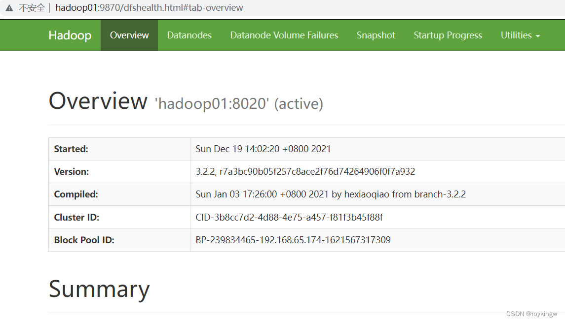 hadoop 服务器中毒 hadoop服务产品_java_08