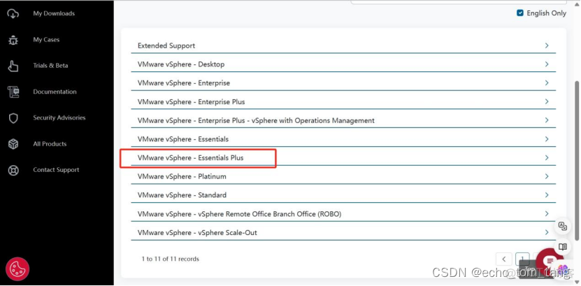 esxi虚拟机添加万兆网卡 esxi 添加虚拟网卡_固件_04