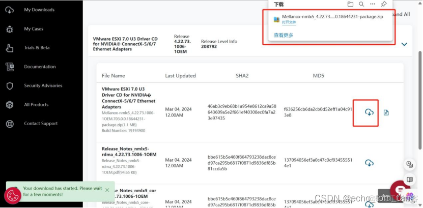 esxi虚拟机添加万兆网卡 esxi 添加虚拟网卡_esxi虚拟机添加万兆网卡_08