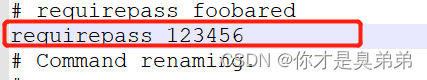 redis config rewrite 命令怎么用 redis config配置_持久化_04