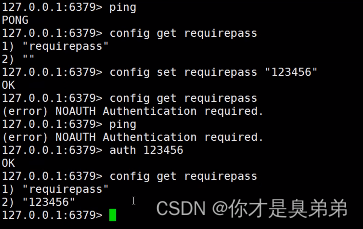 redis config rewrite 命令怎么用 redis config配置_redis_05