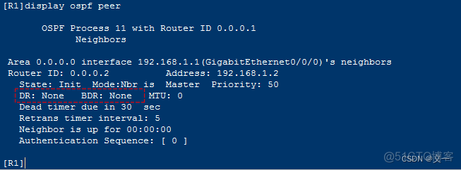 ospf 进程下有个dr ospf指定dr_网络_11