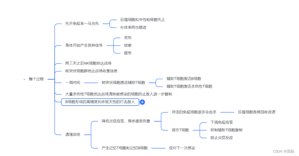 NtCreateProcess 和NtCreateUserProcess的区别 ntreg和itreg的区别_检查点