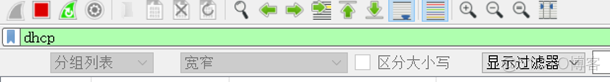wireshark筛选dns解析特定域名 用wireshark分析dns_DHCP_08