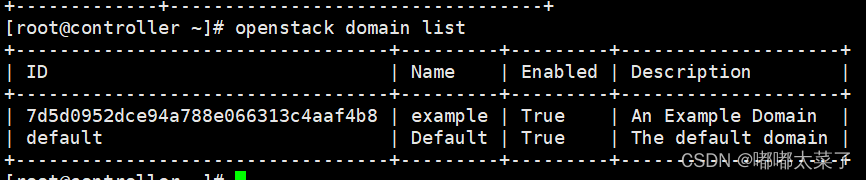 openstack中如何启动keystone服务 openstack中keystone作用_bootstrap_09