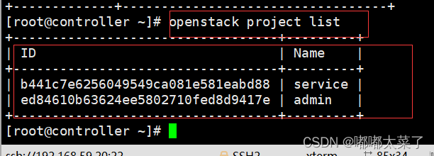 openstack中如何启动keystone服务 openstack中keystone作用_创建数据库_11