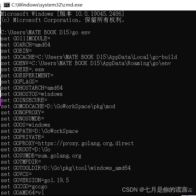 goland 能直接ssh到docker容器内部进行远程开发吗 goland配置gopath_go_08