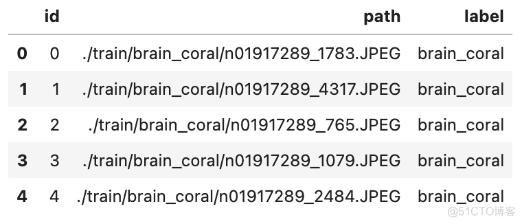 以图搜图 python开源库 以图搜图开发_计算机视觉_02