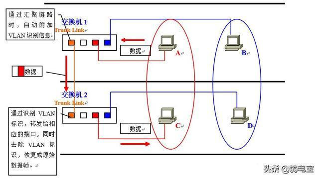 为什么要做vlan修剪工作 什么是vlan,为什么要划分vlan_链路_11