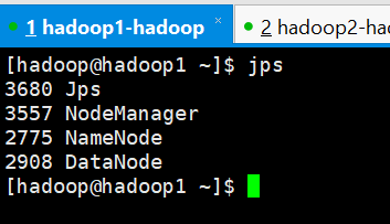 开启 Ganglia 监控 hadoop 集群实验总结 怎么开启hadoop集群_HDFS_29