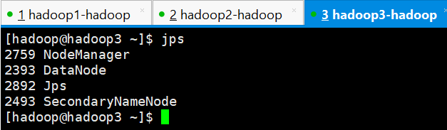 开启 Ganglia 监控 hadoop 集群实验总结 怎么开启hadoop集群_HDFS_31