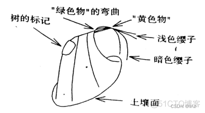 BP遥感图像分类 遥感图像分类流程_人工智能_27