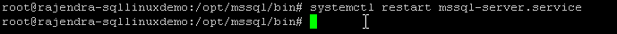 在SQL Server中如何修改数据库的Data路径 sql数据库路径更改_mysql_15