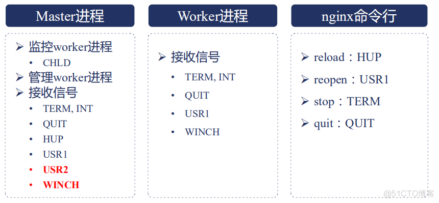 执行nginx命令很卡 nginx执行流程_nginx_02