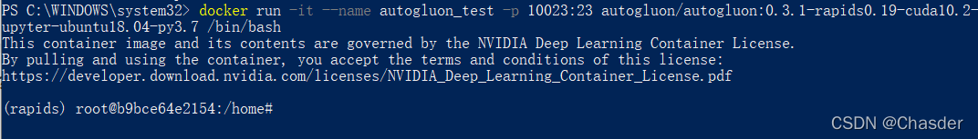 autogluon gpu autogluon gpu支持什么系统_Docker_06