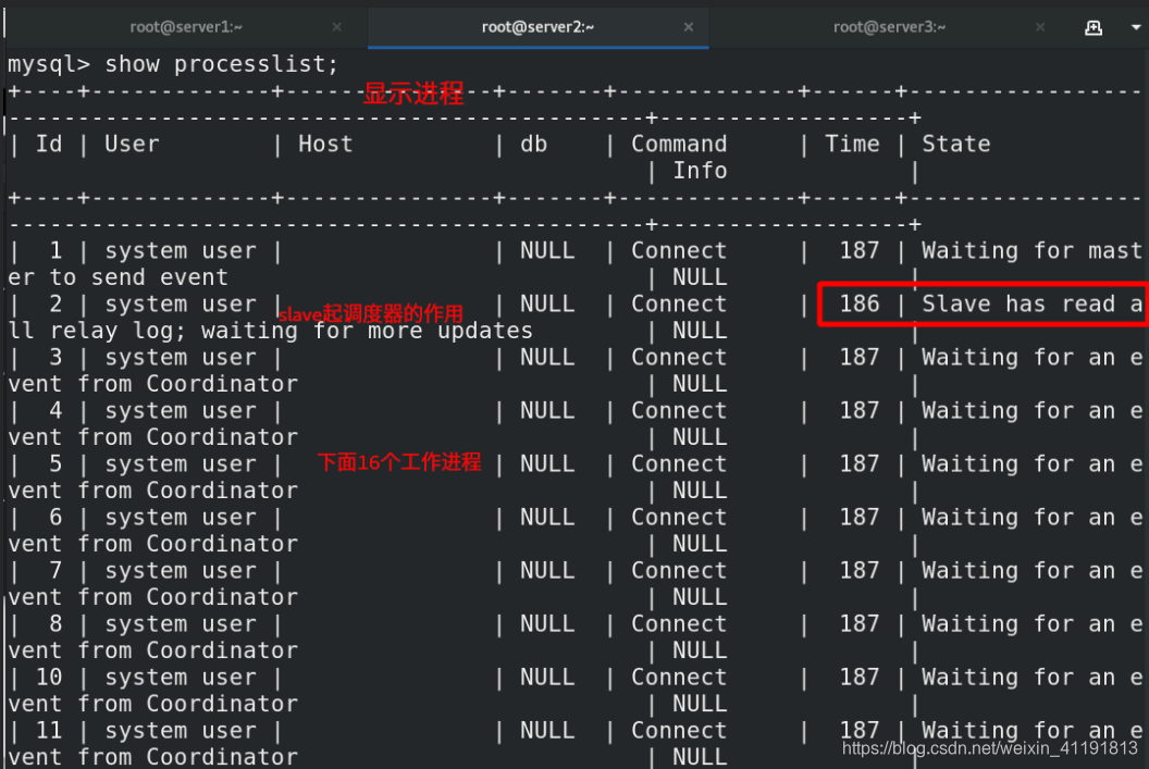 MySQL 的级联复制 mysql 级联从库_MySQL 的级联复制_24