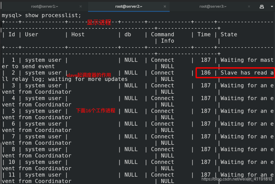 MySQL 的级联复制 mysql 级联从库_级联_24