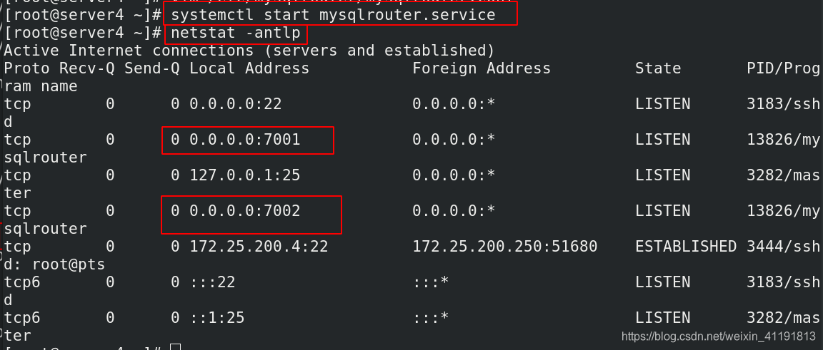 MySQL 的级联复制 mysql 级联从库_数据库_57