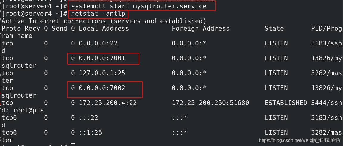 MySQL 的级联复制 mysql 级联从库_mysql_57