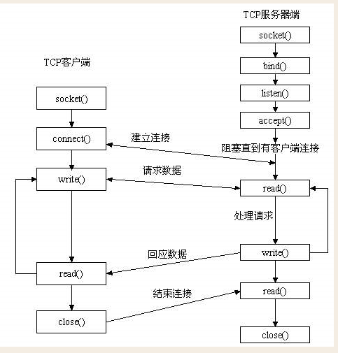 python 查看socket数量 python中的socket_套接字_03