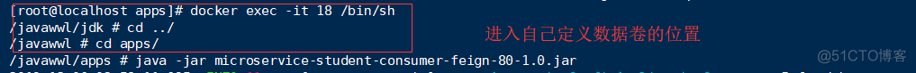 windows 系统怎样部署springcloud项目 springcloud部署到docker_springcloud_12