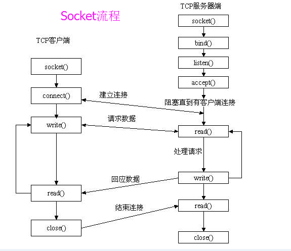 python的socket的bind方法 python的socket用法_TCP_05