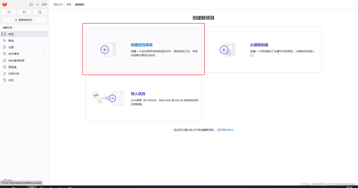 gitlab怎样建立新分子 gitlab怎么创建仓库_gitlab怎样建立新分子_24