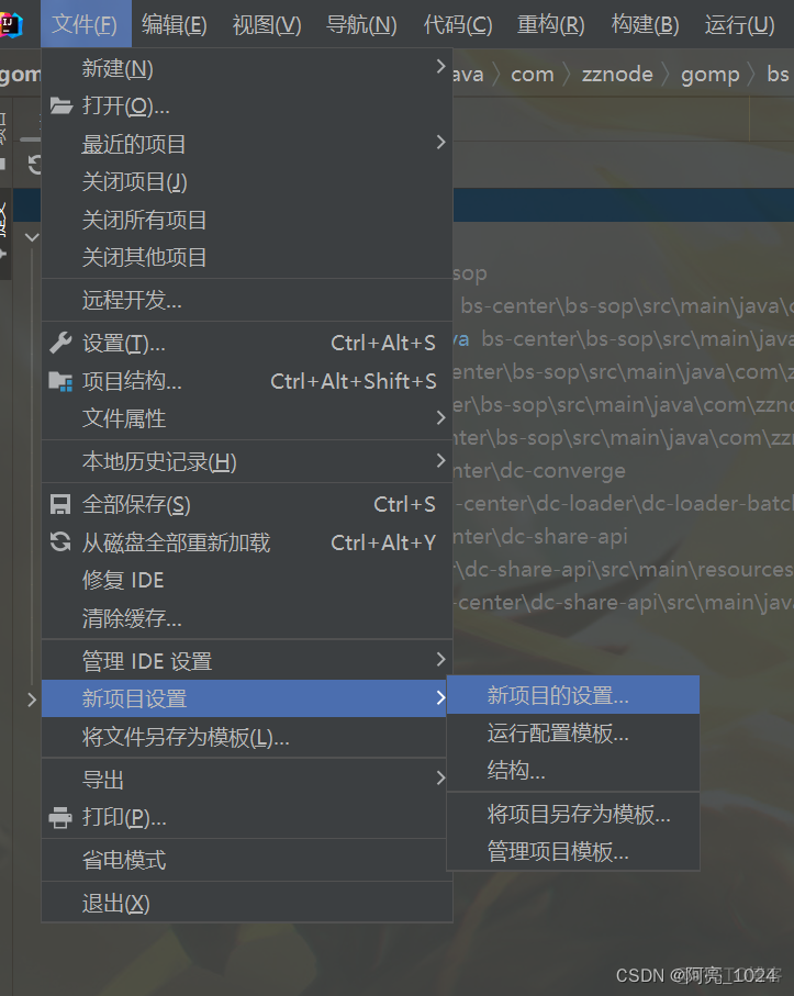 idea chinese拼写和语法检查器 idea 拼写错误 提示_项目设置_03