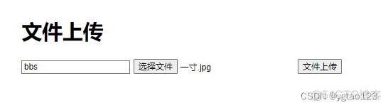 java阿里oss上传文件设置有效期 oss 文件上传_java_02