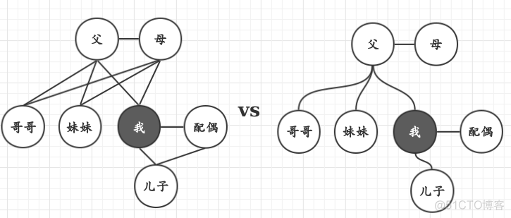 族谱代码java 带权限管理怎么弄 族谱录入技巧_连线_02