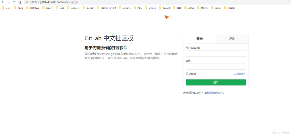 docker 安装的gitlab如何升级 gitlab runner docker in docker_docker_05