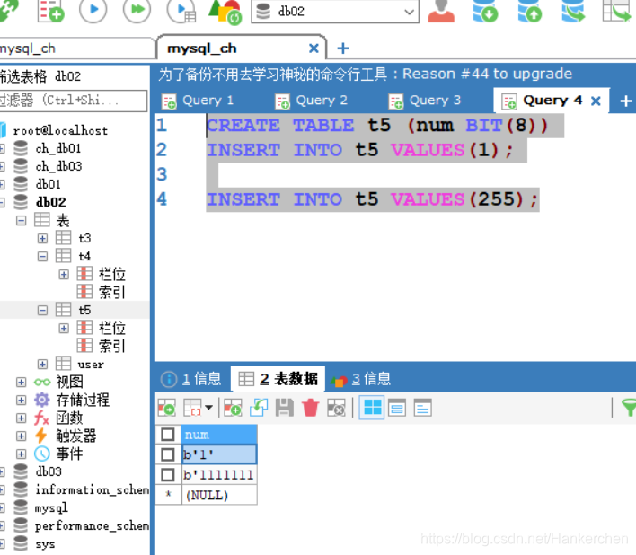 sybase 数据库 删除列sql sqlyog删除数据库_创建数据库_07