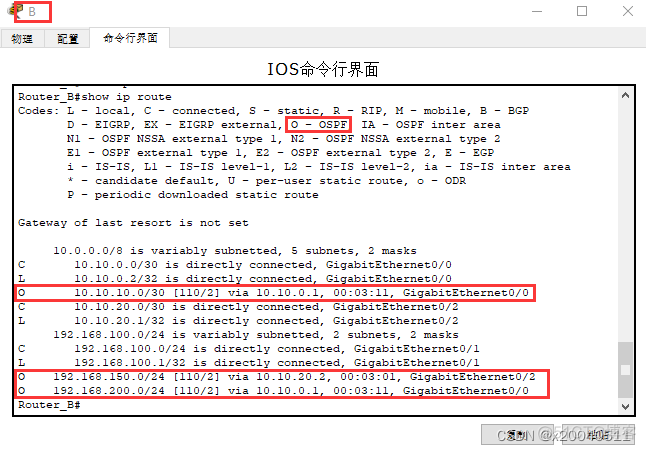 中兴路由器 bgp配置 中兴路由器配置ospf_网络_04