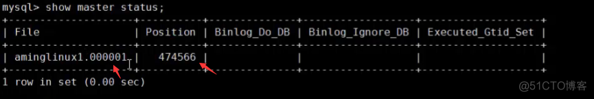 mysql 主从 增加从节点 mysql主从如何实现_python_12