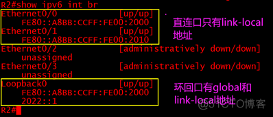 ospf option 字段 ospfv3中的option字段_ipsec协议_06