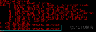 ospf option 字段 ospfv3中的option字段_ospf option 字段_16