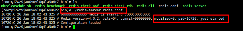 centos查看redis使用的配置文件 centos查看redis版本_redis_15