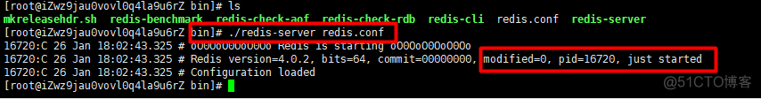 centos查看redis使用的配置文件 centos查看redis版本_上传_15
