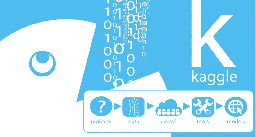 kaggle如何启用gpu kaggle gpu 型号_数据