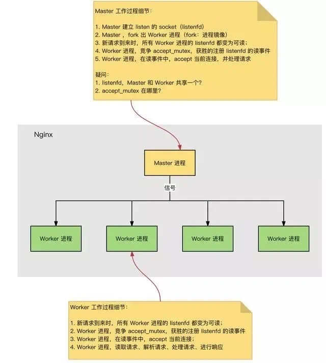 nginx 拿到接口返回结果 nginx读取文件返回_HTTP_02