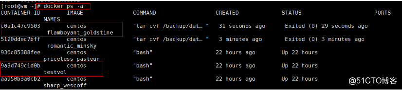 修改 docker 为桥接模式 docker桥接网络ip_运维_03