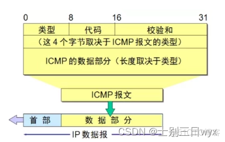 wireshark怎么抓取rtmpt wireshark抓取icmp_字段_06