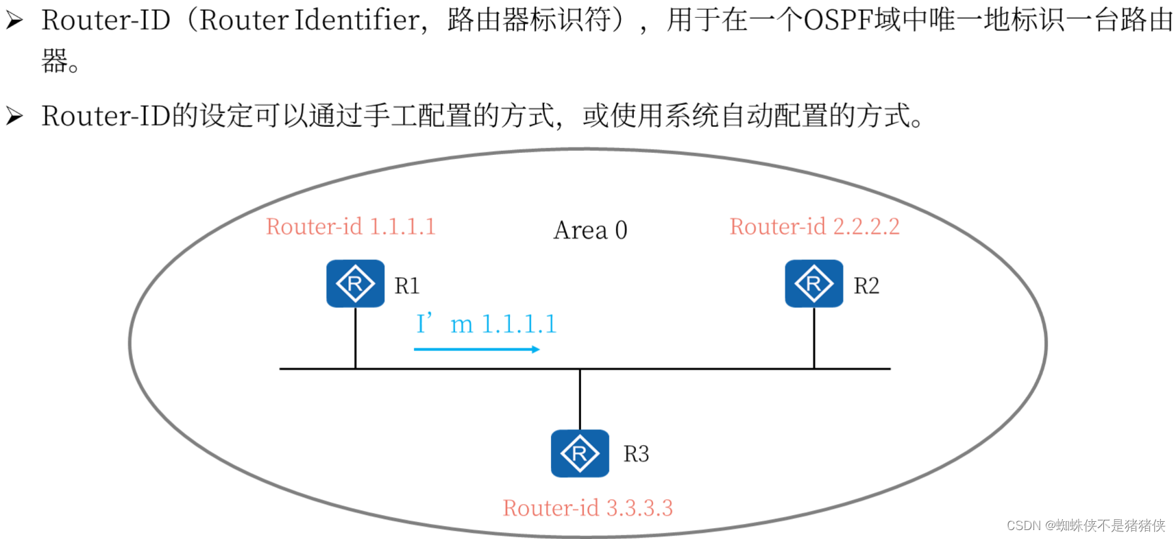 OSPF协议标准 ospf协议三个要点_运维_03