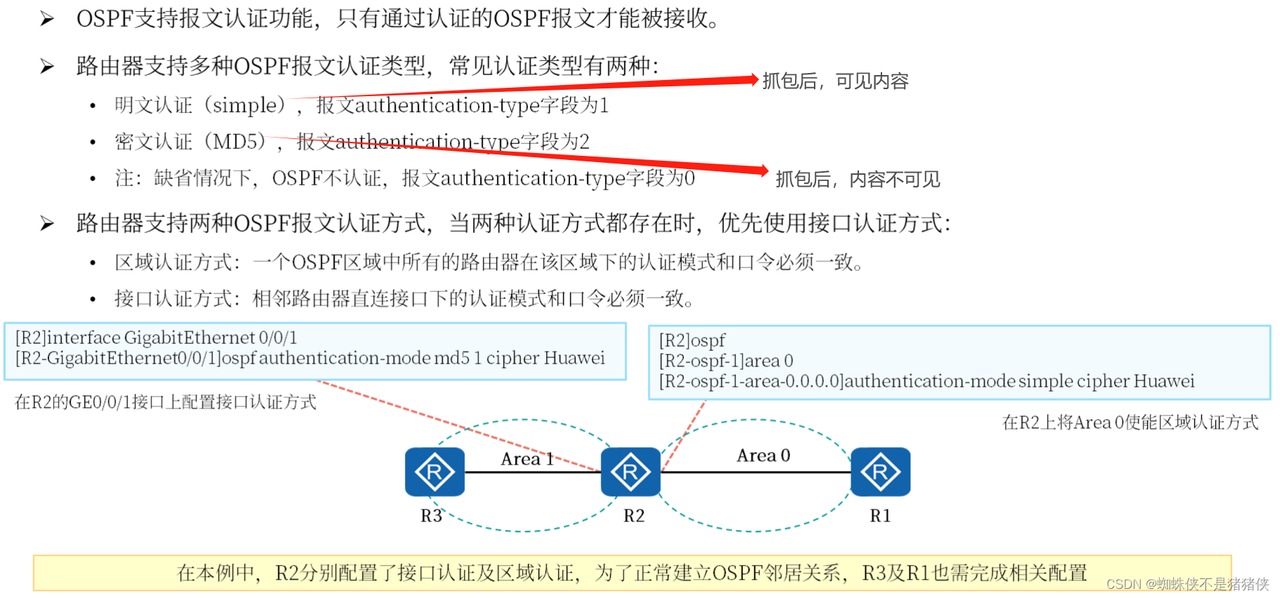 OSPF协议标准 ospf协议三个要点_服务器_06